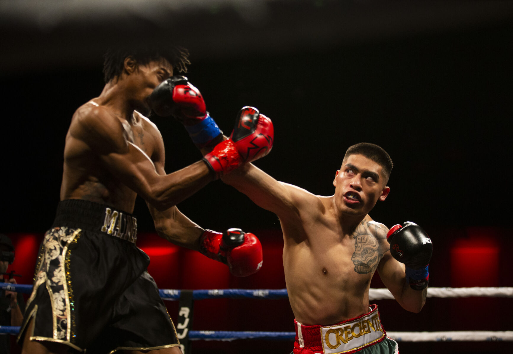 Roy Jones Championship Boxing